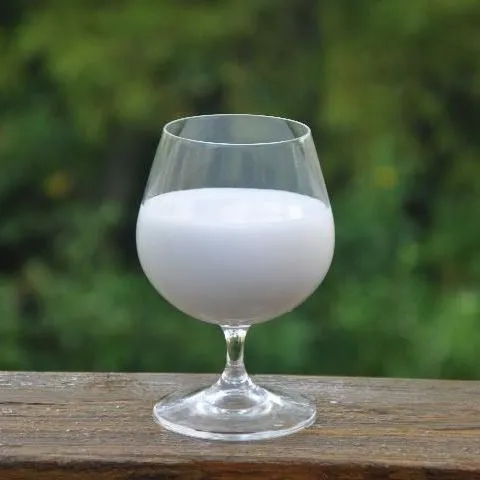 thumbnail for publication: Plant-Based Milks: Coconut